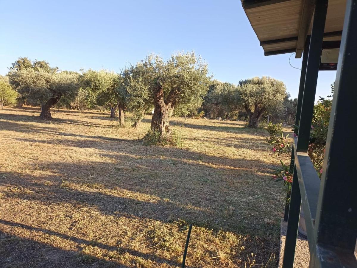 Villa Relax E Tranquillita Monasterace Exterior foto